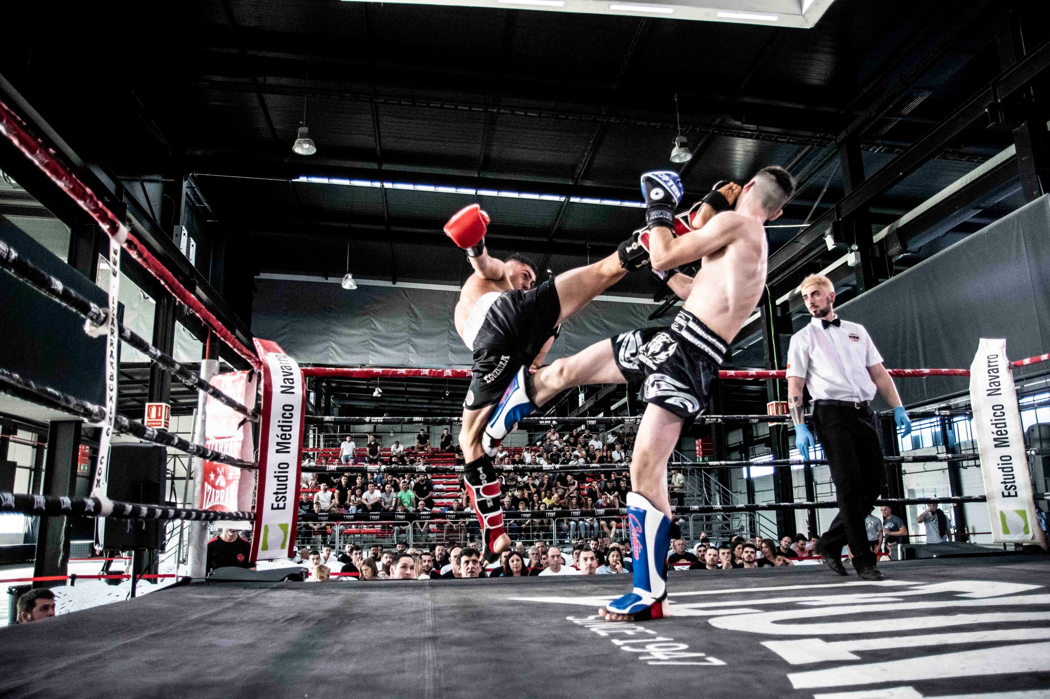 Gran espect&aacute;culo en la velada celebrada en Refena. Pleno para Navarra frente a Polonia